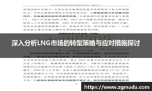 深入分析LNG市场的转型策略与应对措施探讨