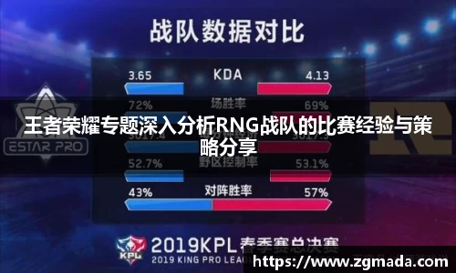 王者荣耀专题深入分析RNG战队的比赛经验与策略分享