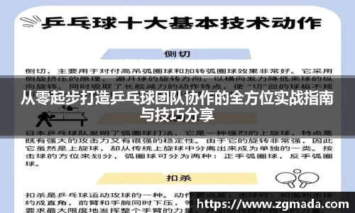 从零起步打造乒乓球团队协作的全方位实战指南与技巧分享